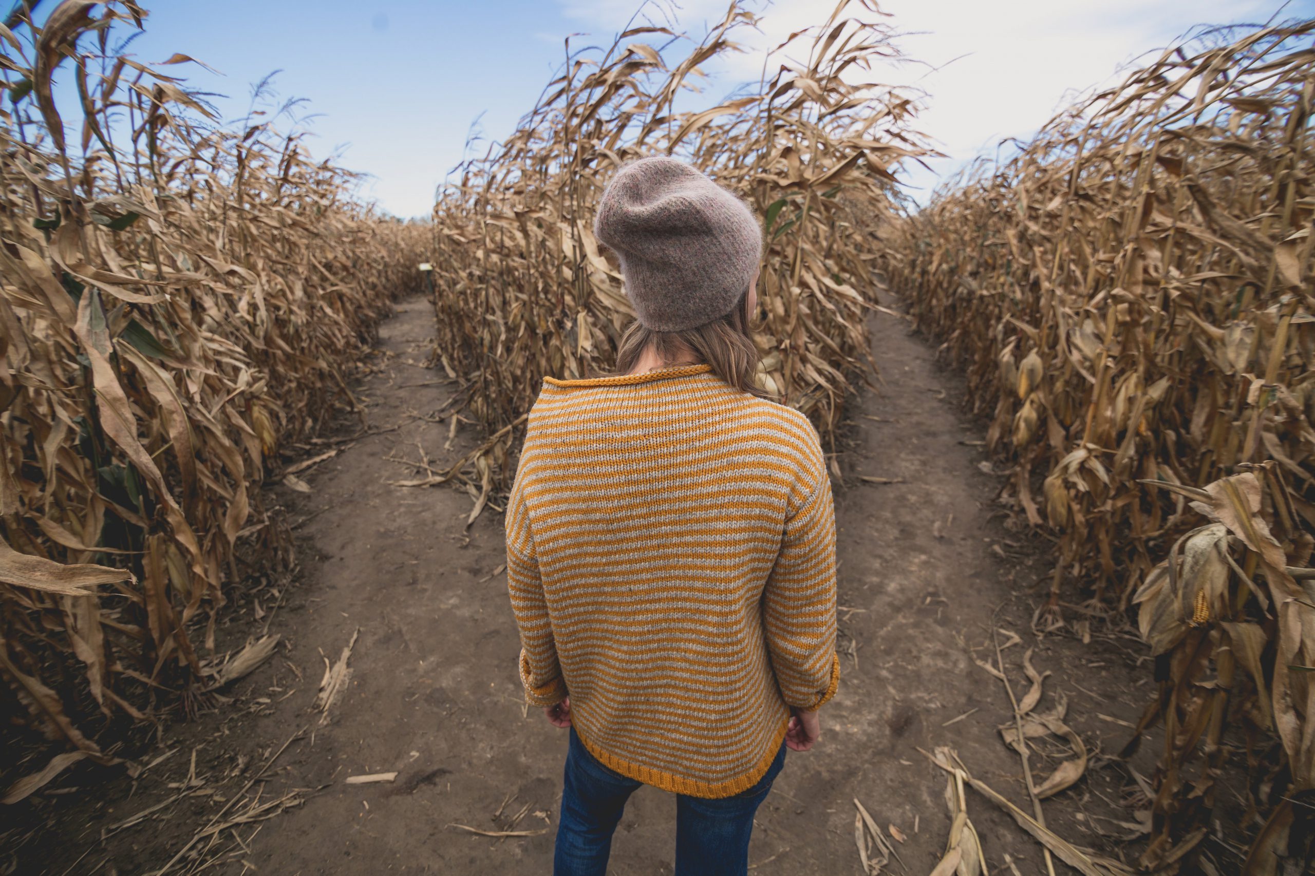 Women choosing path to find the best rostering software